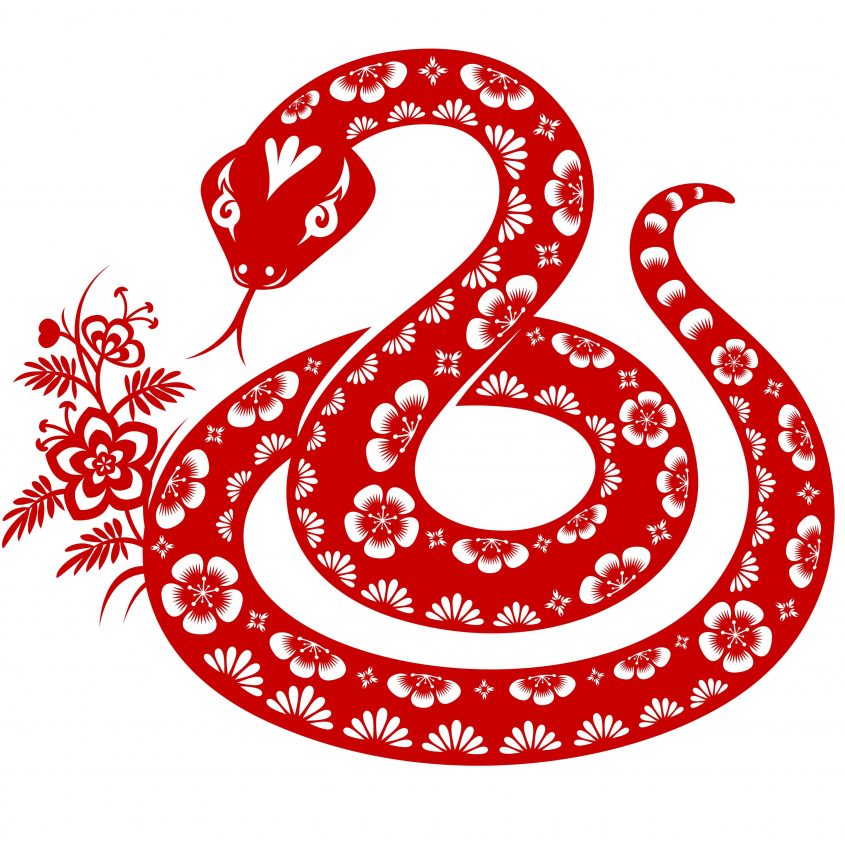 snake chinese zodiac sign