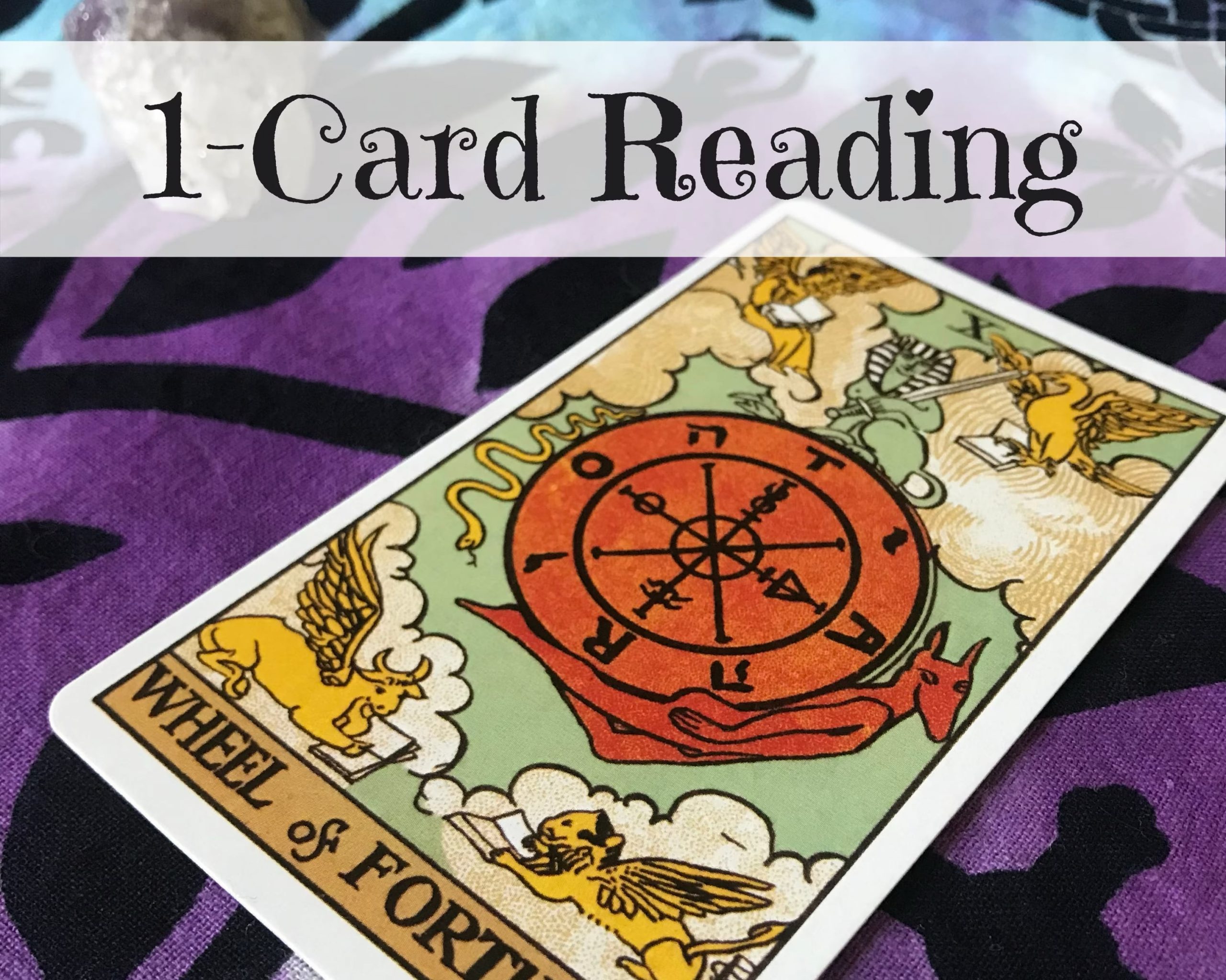 One Card Tarot Reading Free (2024) My Angel Numbers